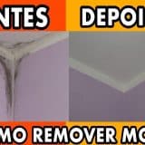 Remover Mofo Das Paredes