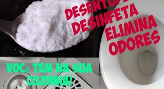 Dica Para Desentupir Vaso Sanitário