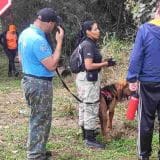 Defesa Civil Inicia Buscas Por Idoso Desaparecido Em Alumínio Com Ajuda De Cão Farejador
