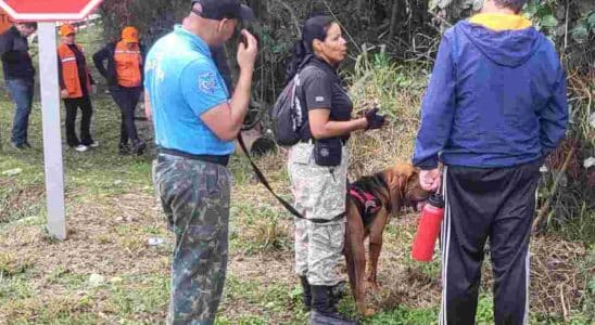 Defesa Civil Inicia Buscas Por Idoso Desaparecido Em Alumínio Com Ajuda De Cão Farejador