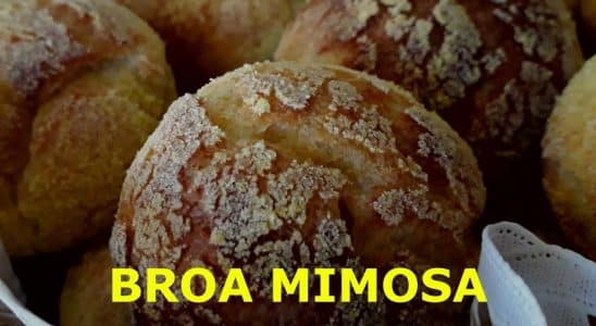Broa Mimosa