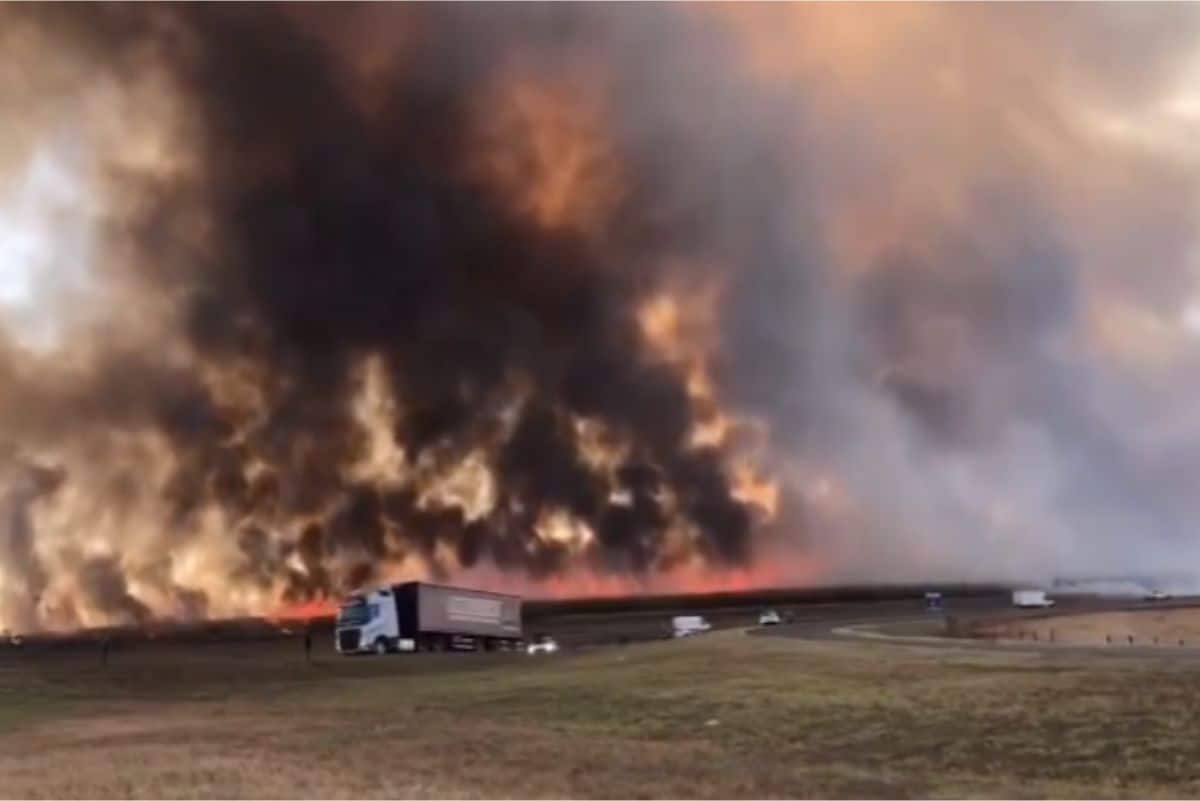 Incêndio Em Canavial Em Ribeirão Preto Transforma Dia Em Noite E Mobiliza Bombeiros