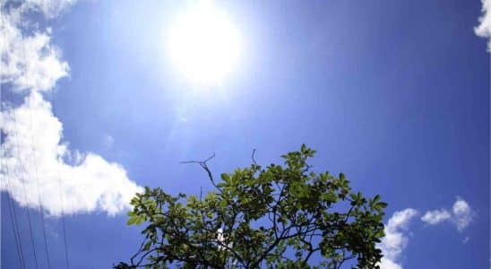 Temperatura Ficará Mais Agradável Nos Próximos Dias Em Sorocaba, São Roque E Região