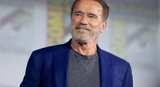 Mulher Idosa De Caraguatatuba Perde Mais De R$ 230 Mil Em Golpe Envolvendo Arnold Schwarzenegger