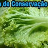 Como Manter Verduras Frescas 0307