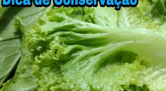 Como Manter Verduras Frescas 0307