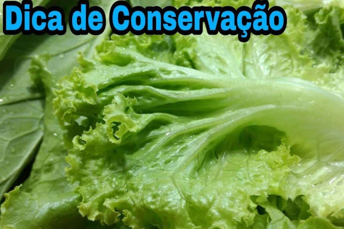 Como Manter Verduras Frescas 0307