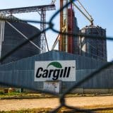 Cargill Vagas Estados Unidos