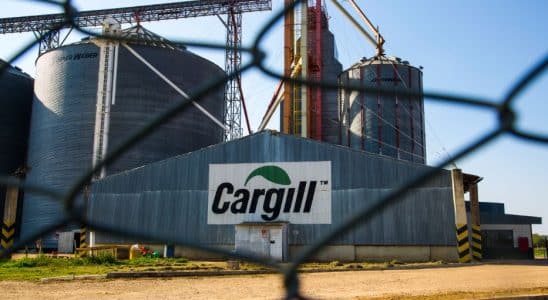 Cargill Vagas Estados Unidos