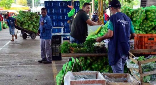 Ceagesp Abre Concurso Público Para Diversos Níveis De Escolaridade Com Salário De R$ 7 Mil