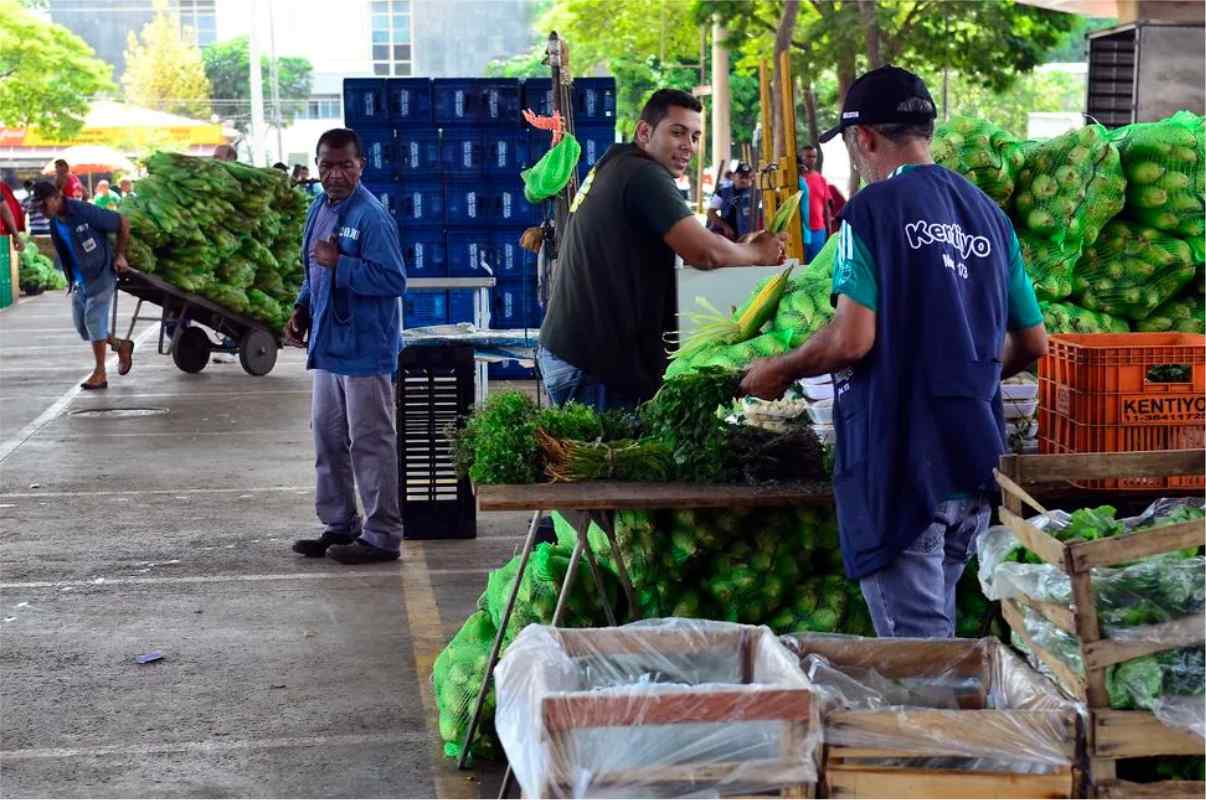 Ceagesp Abre Concurso Público Para Diversos Níveis De Escolaridade Com Salário De R$ 7 Mil