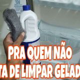 Dica-Para-Limpar-Geladeira-E-Deixar-Limpinha-E-Tirar-Todo-Mau-Cheiro