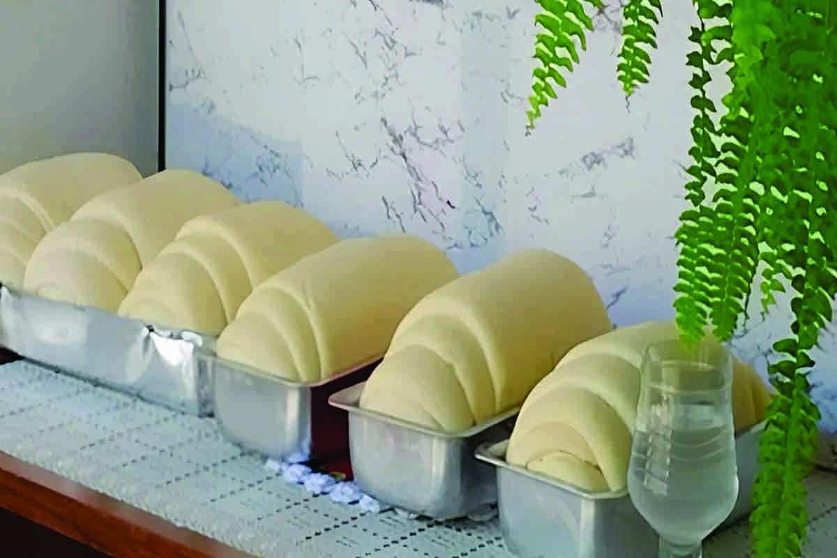 Essa É Real Receita De Pão Fofinho Que Cresce Muito