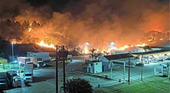 Incêndio Atinge Área De Mata Em Araçariguama, Próximo De Posto De Combustível