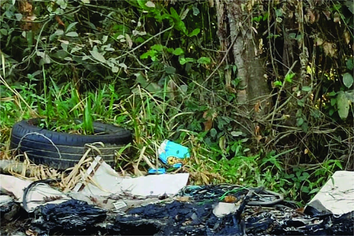 Polícia Encontra Corpo De Homem Carbonizado Em Terreno Baldio Em Cotia