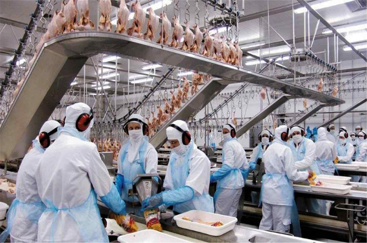 Vista Foods Abre Vagas Imediatas Com Ótimo Salário Para Auxiliar De Produção No Abatedouro Em São Carlos