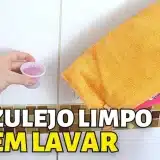 Como-Limpar-Azulejo-Encardido