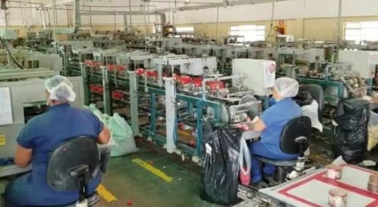 Fábrica Da Látex Abre Vagas Em São Roque No Setor De Produção Para Período De Fim De Ano