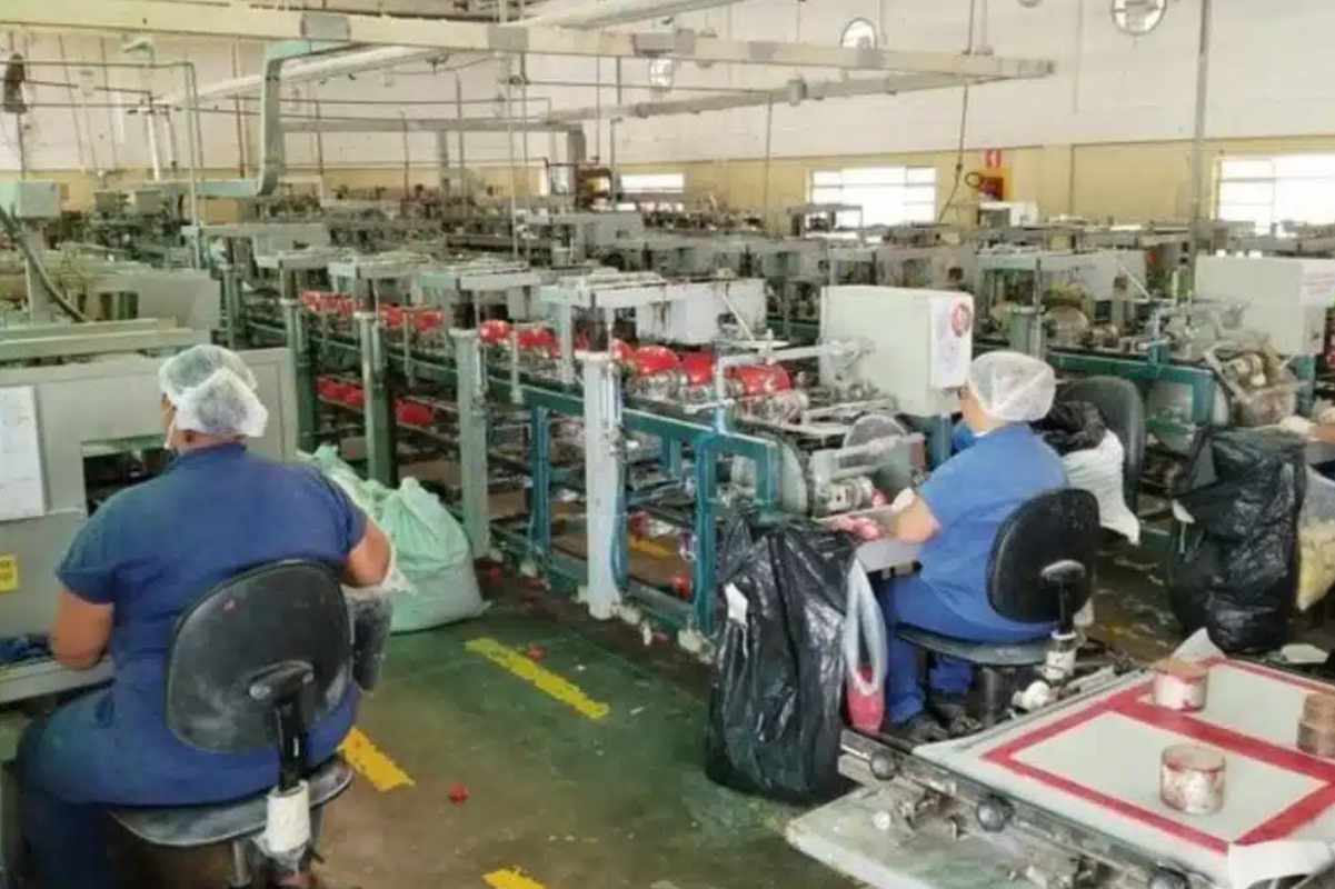 Fábrica Da Látex Abre Vagas Em São Roque No Setor De Produção Para Período De Fim De Ano