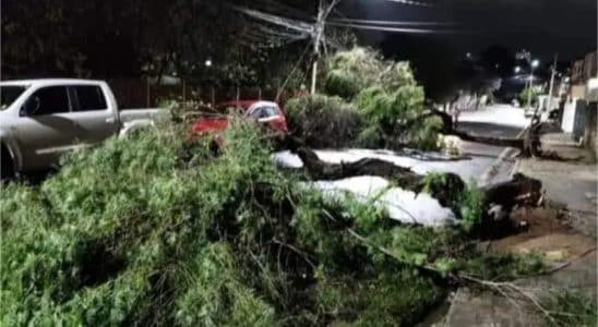 Forte Tempestade Que Atingiu São Roque, Causa Falta De Água Em Diversos Bairros Da Cidade