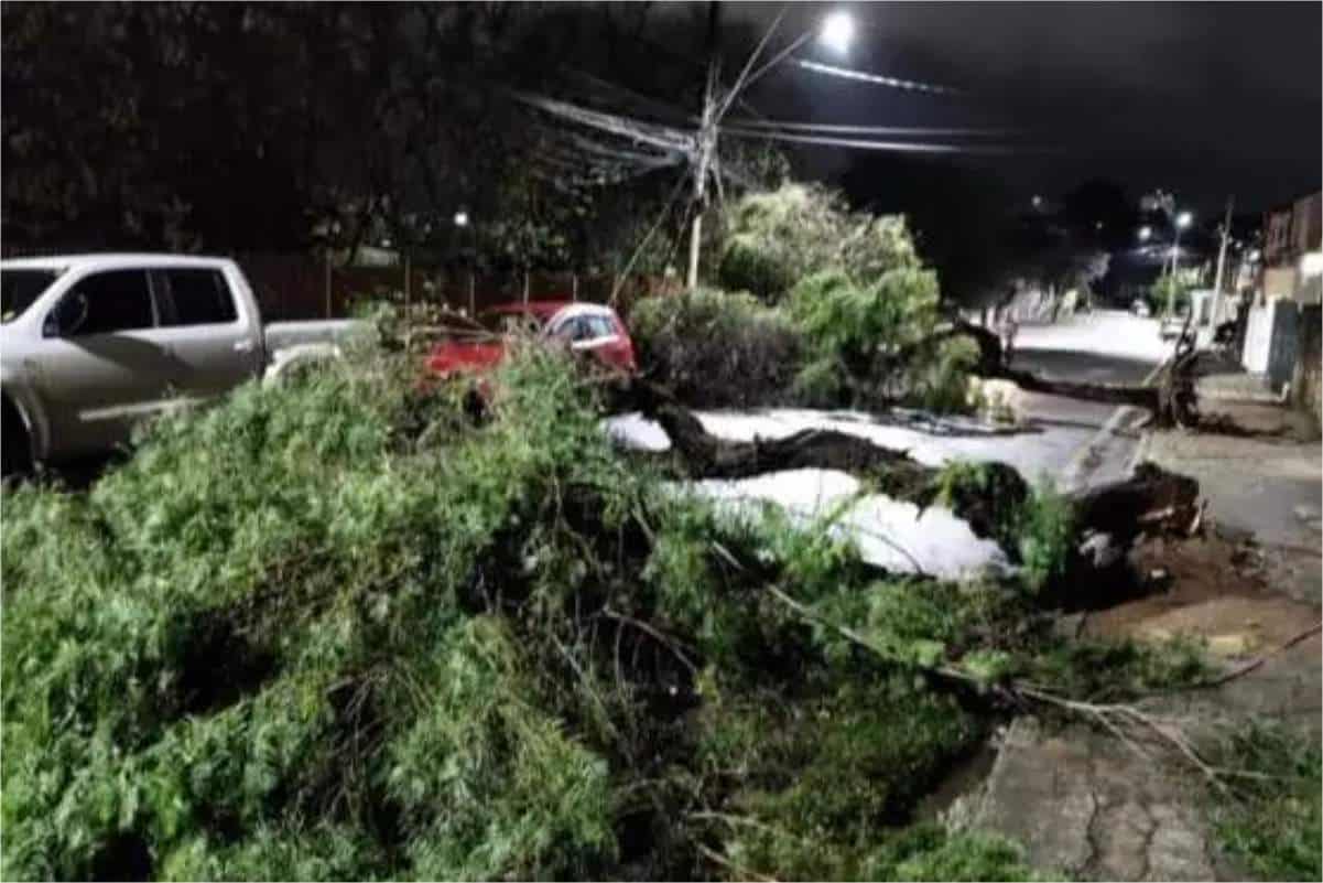 Forte Tempestade Que Atingiu São Roque, Causa Falta De Água Em Diversos Bairros Da Cidade