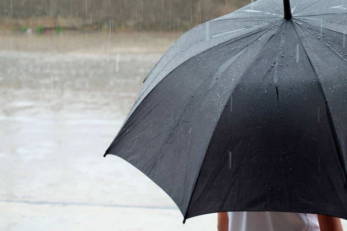 Tempestade Esperada No Estado De São Paulo Virou Garoa E Defesa Civil Atualiza Alerta De Chuva Intensa