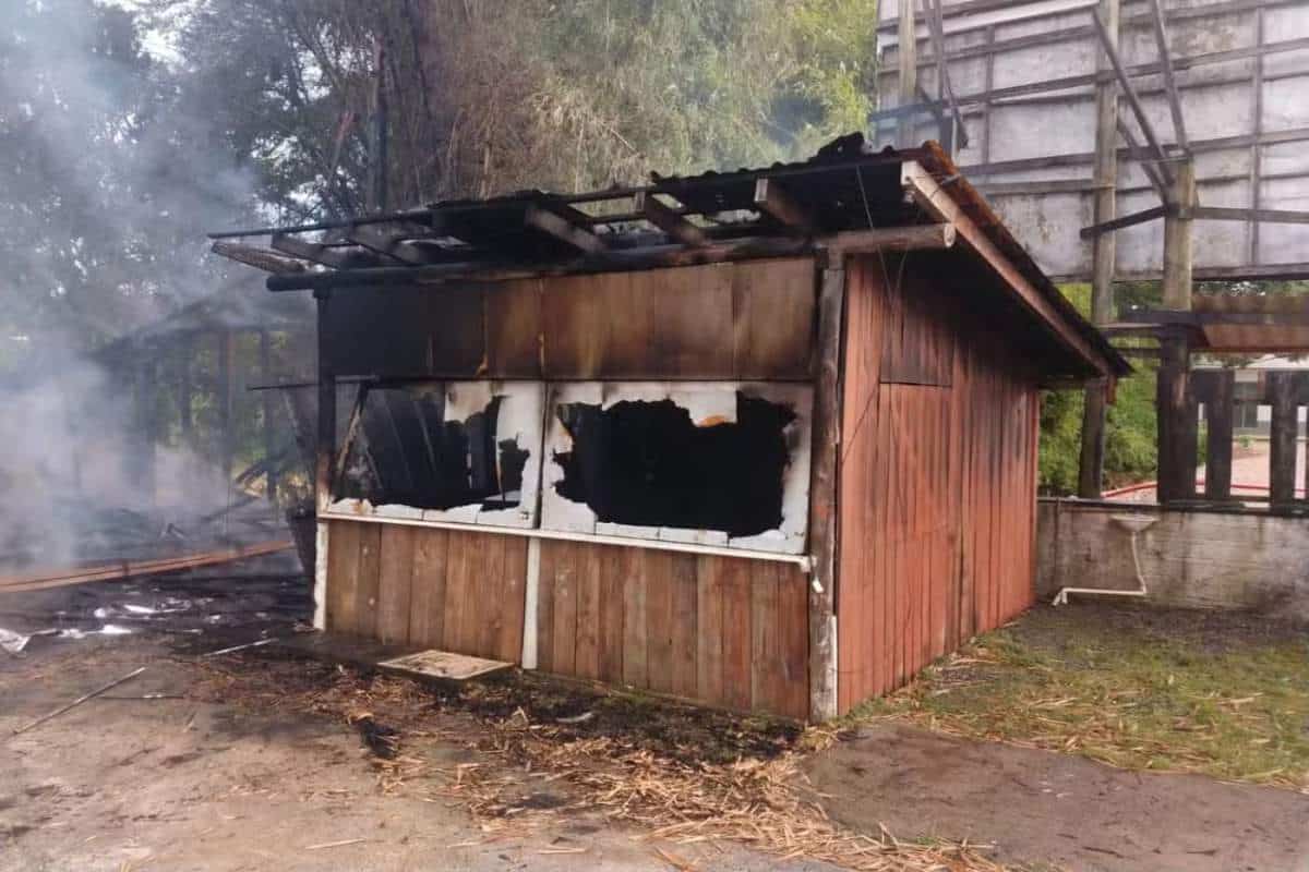 Casa De Homem-Bomba Que Atacou Praça Dos Três Poderes Em Brasília É Incendiada