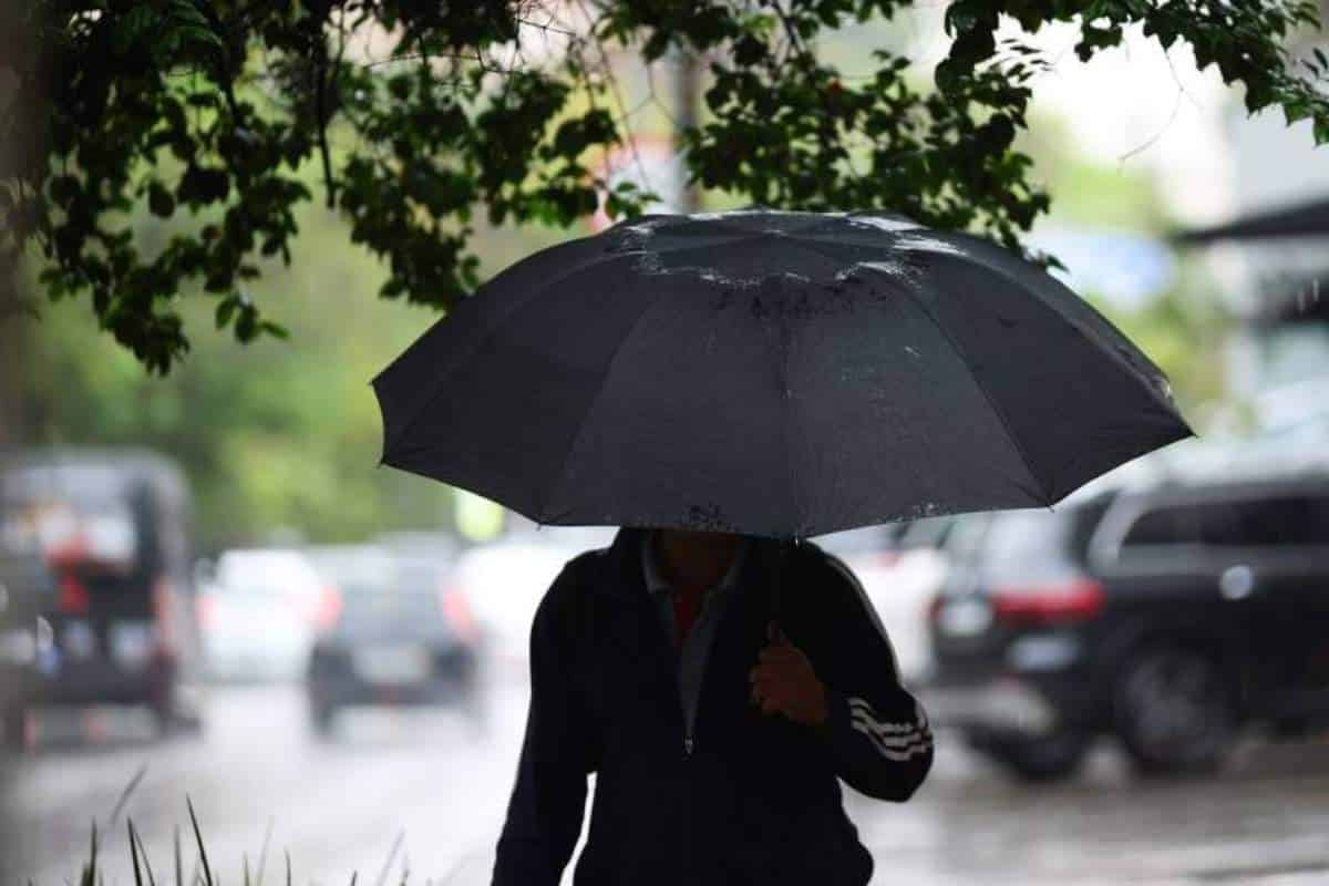 Chegada De Frente Fria Vai Trazer Muita Chuva Para Estado De São Paulo Entre Quinta E Sexta