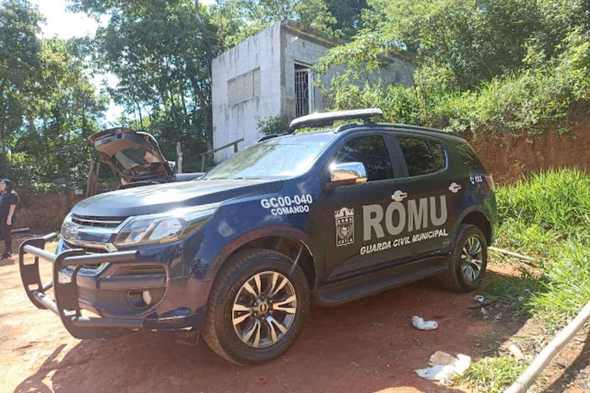 Comendo Fezes, Cachorros São Resgatados Abandonados Em Cotia