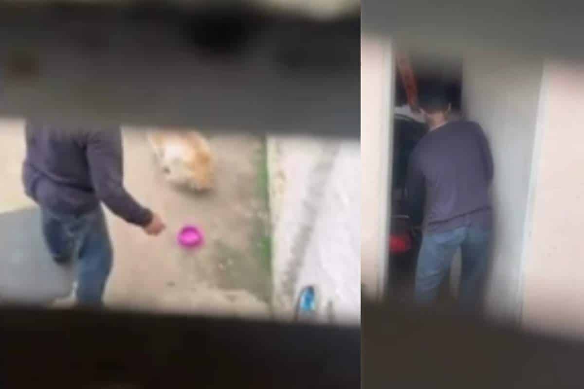 Homem É Filmado Agredindo Cachorro Com Ferramenta De Carro No Interior De São Paulo