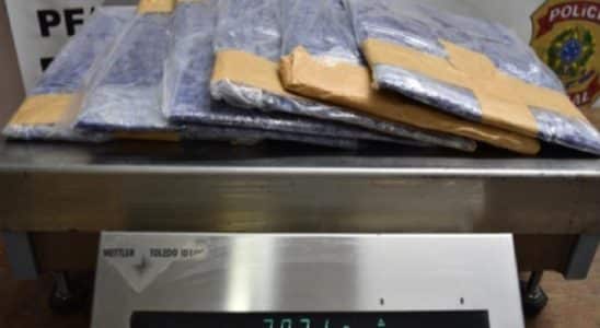 Policia Federal Prende 11 Passageiros Por Tráfico De Drogas Em Guarulhos