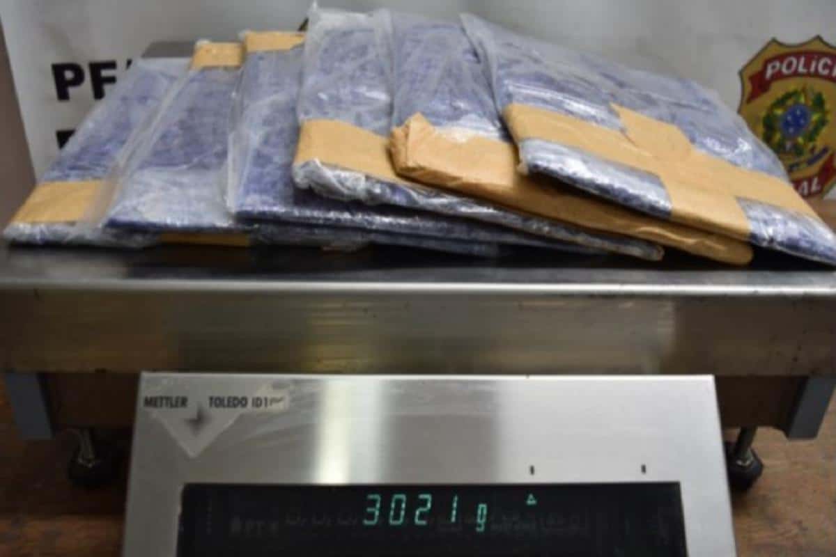 Policia Federal Prende 11 Passageiros Por Tráfico De Drogas Em Guarulhos