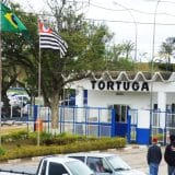 Tortuga Dsm Melhor Empresa Para Se Trabalhar Em Mairinque Abre Vagas Para Auxiliar De Producao