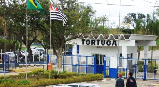 Tortuga Dsm Melhor Empresa Para Se Trabalhar Em Mairinque Abre Vagas Para Auxiliar De Producao