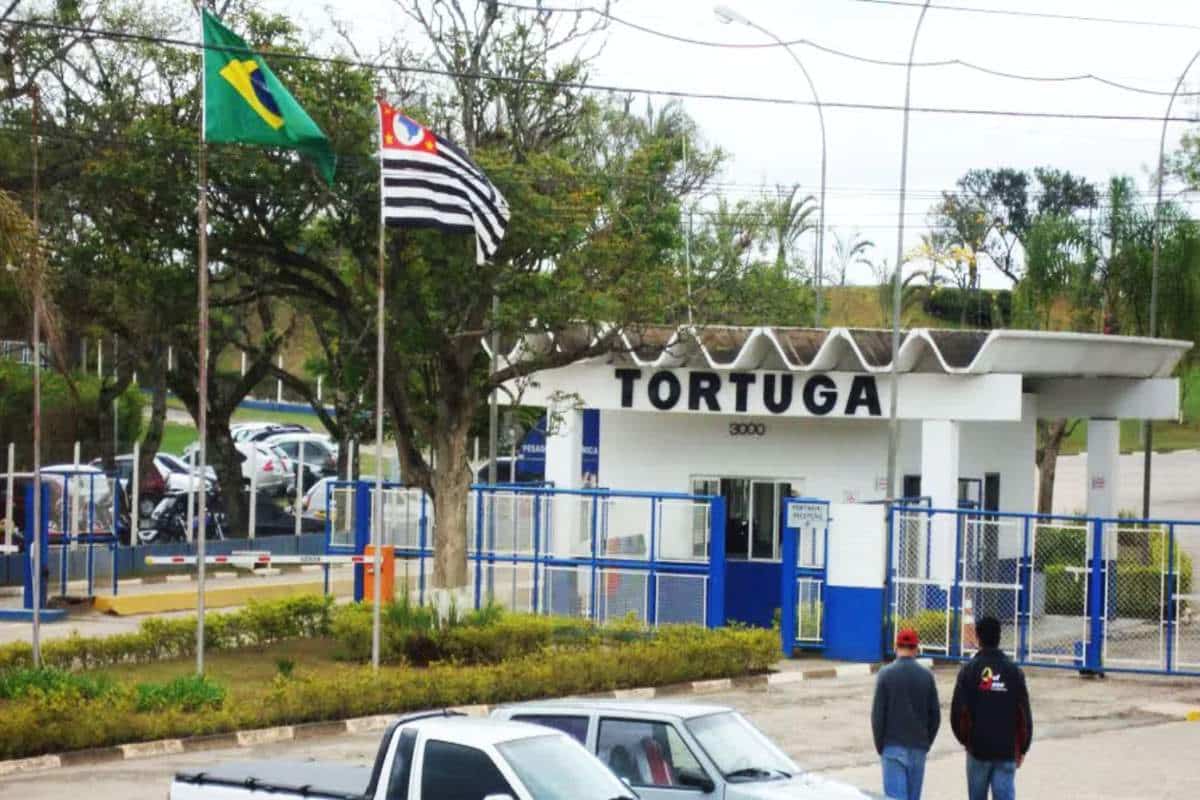 Tortuga Dsm Melhor Empresa Para Se Trabalhar Em Mairinque Abre Vagas Para Auxiliar De Producao