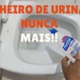 dica para limpar banheiro-2811