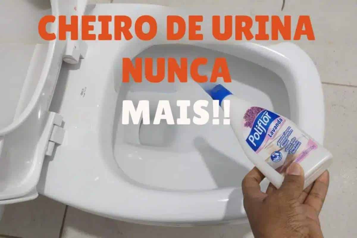 dica para limpar banheiro-2811