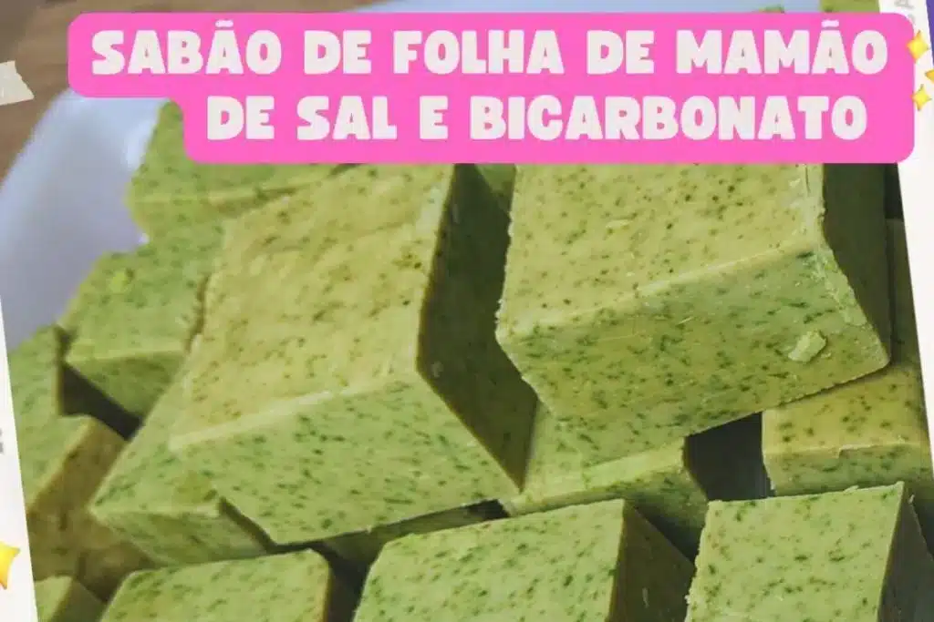 Sabao-Com-Folha-De-Mamao-1111