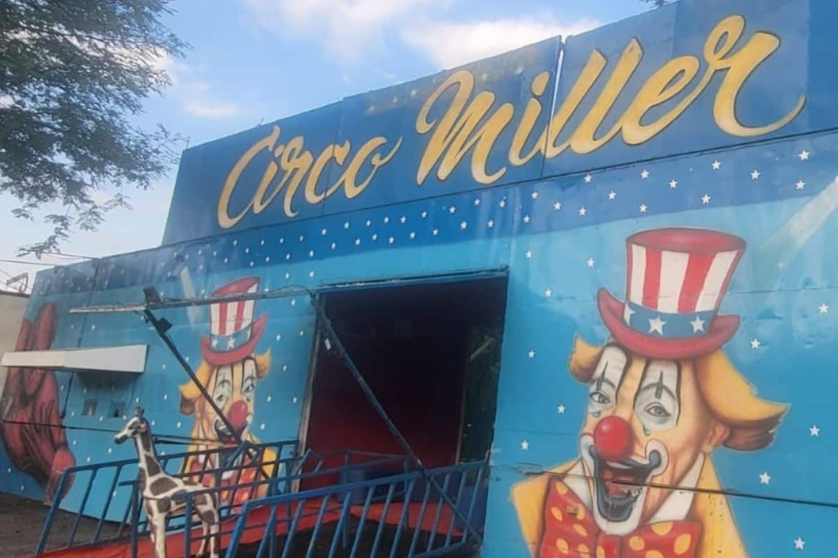 Circo Miller Terá Espetáculo Especial Para Crianças Em São Roque Com Ingressos A R$ 10