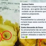 Cliente Diz Que Já Comprou Trigo Com Larvas Em Padaria Que Vendeu Coxinhas Com Larvas Em São Roque