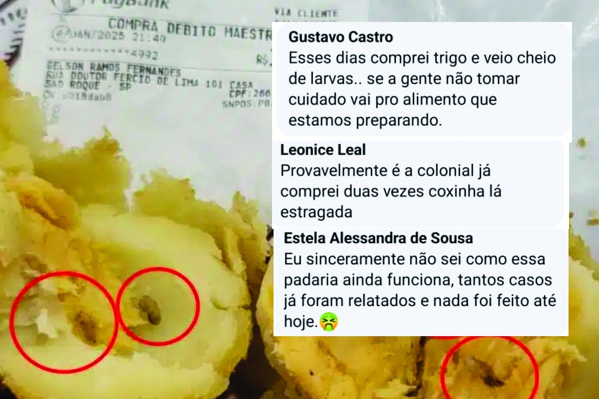 Cliente Diz Que Já Comprou Trigo Com Larvas Em Padaria Que Vendeu Coxinhas Com Larvas Em São Roque