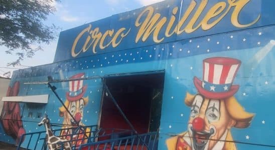 Diretamente Da Argentina, Circo Miller Estreia Temporada 2025 Dia 10 Em São Roque