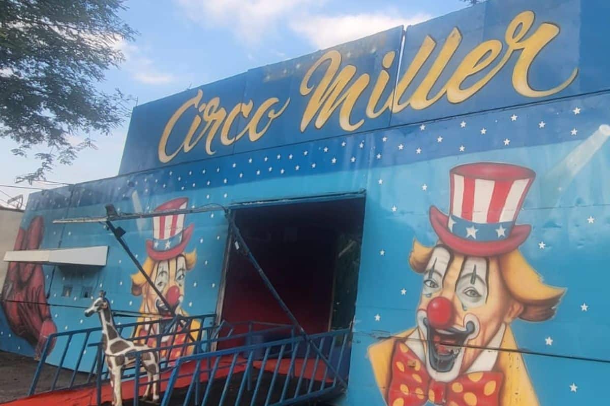 Diretamente Da Argentina, Circo Miller Estreia Temporada 2025 Dia 10 Em São Roque