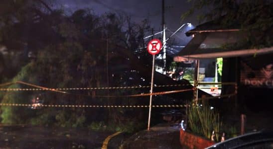 Icônica E Lendária Árvore De Restaurante Famoso Em São Roque, Don Crepe, Cai Durante Temporal