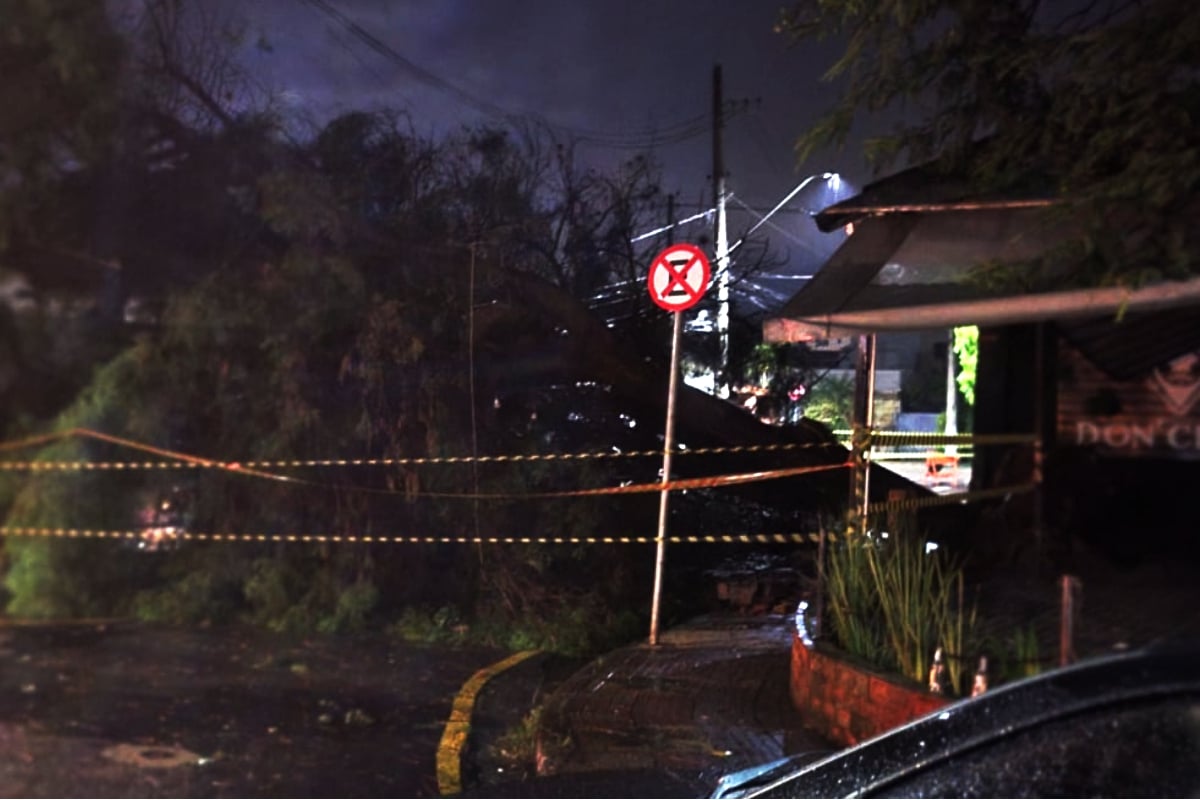 Icônica E Lendária Árvore De Restaurante Famoso Em São Roque, Don Crepe, Cai Durante Temporal