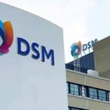 Multinacional Dsm Inicia 2025 Com Vagas Para Mairinque E Hortolândia E Cotia