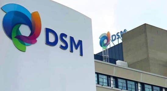 Multinacional Dsm Inicia 2025 Com Vagas Para Mairinque E Hortolândia E Cotia