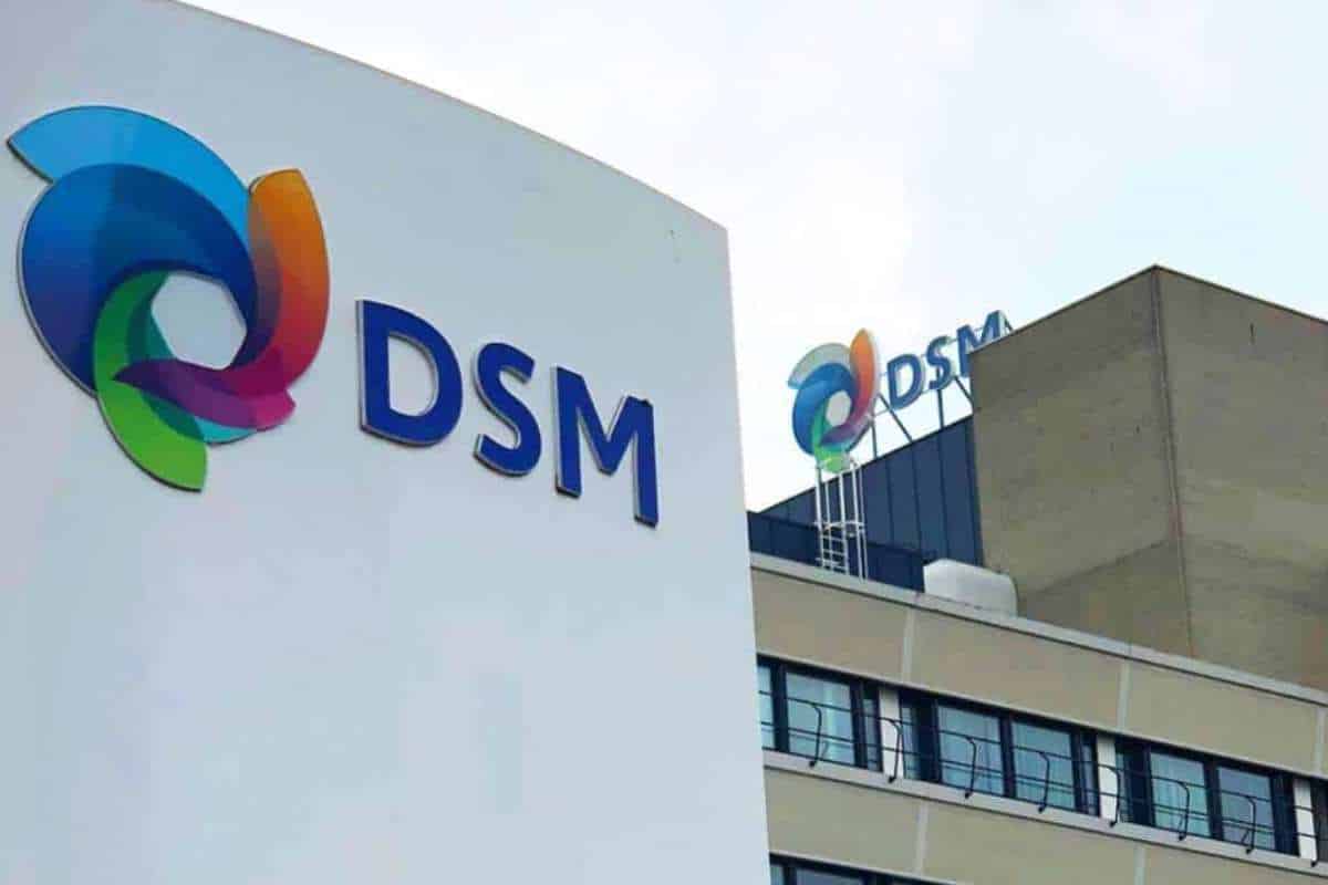 Multinacional Dsm Inicia 2025 Com Vagas Para Mairinque E Hortolândia E Cotia