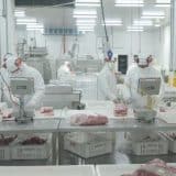 Veja Como Cadastrar Curriculum Na Fábrica De Carnes Wessel Em Araçariguama Para Setor De Produção