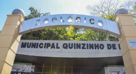 Zoológico De Sorocaba Oferece Entrada Gratuita Até 4 De Fevereiro Durante Evento Especial